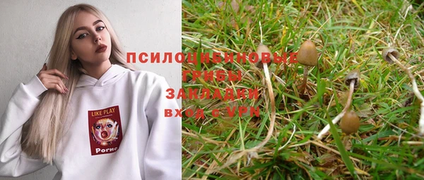 трава Арсеньев
