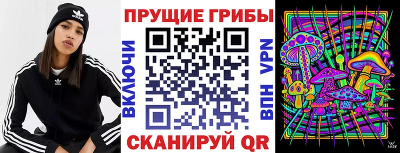 Купить закладки  Вичуга  Галлюциногенные грибы мухоморы 